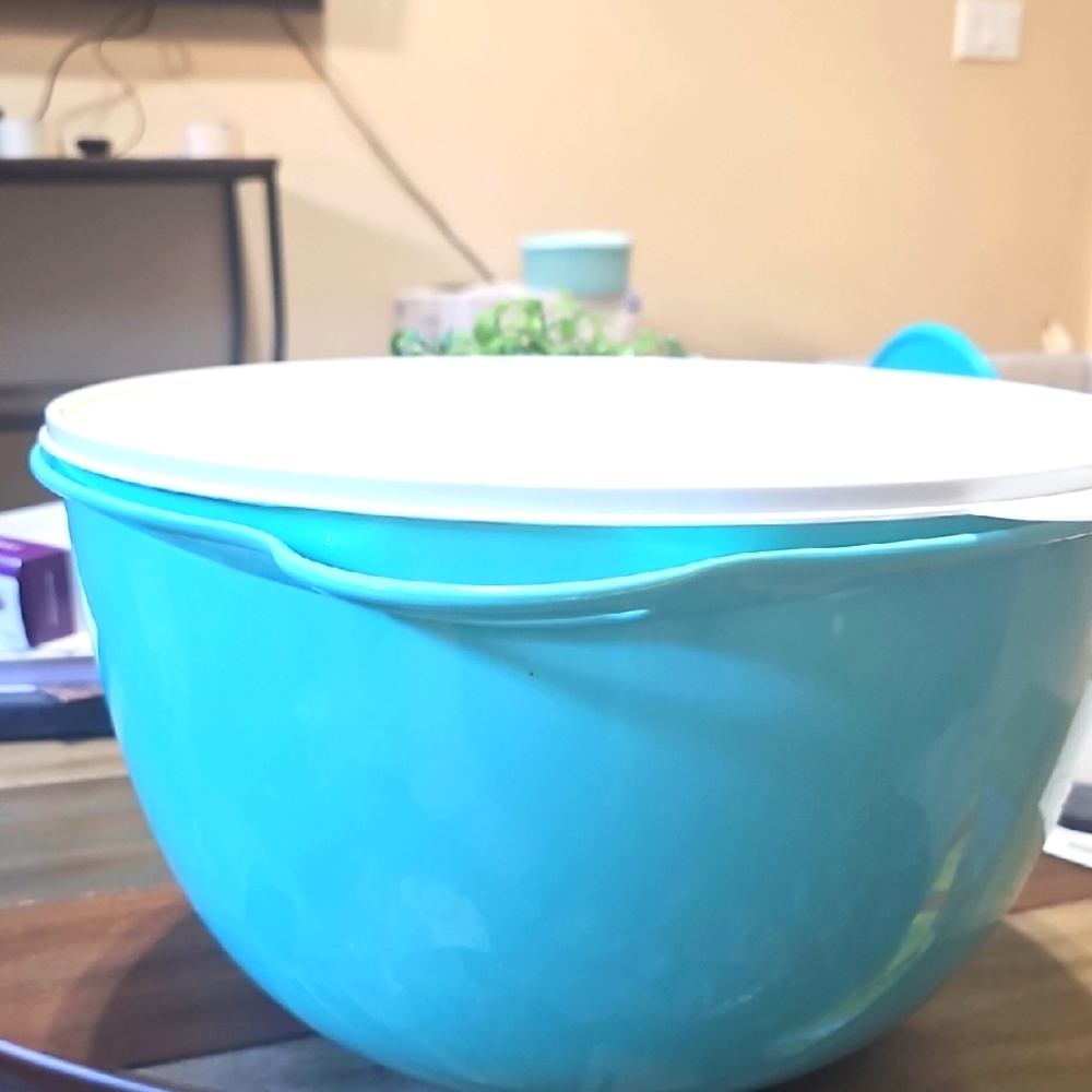 42 cup Bowl Mega size